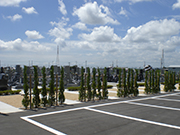 �₷�炬�̗��쉀