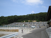 ��������n