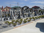 �������扑