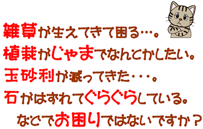 �G���������Ă��č���